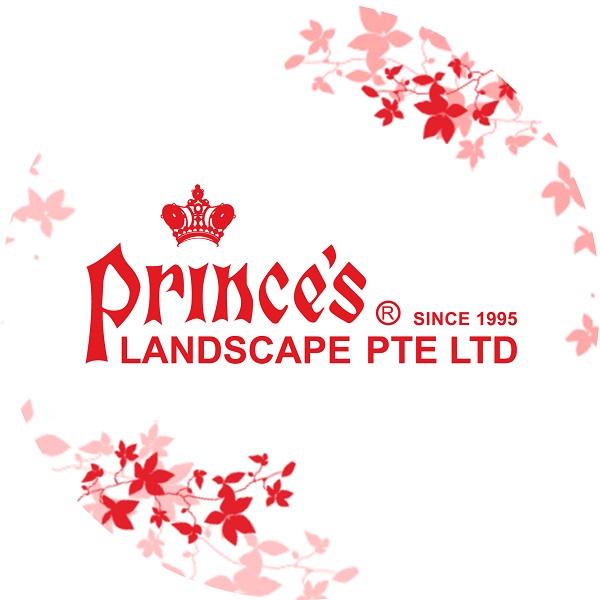 Landscape  Prince's