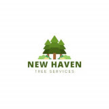 Haven New