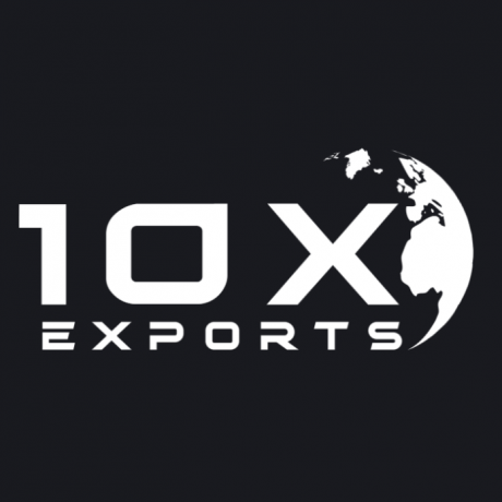 institute 10xexport