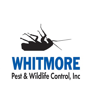PestControl Whitmore 