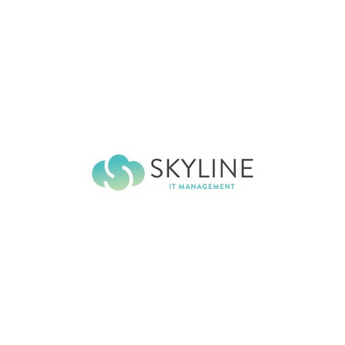 Management Skyline IT