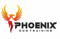 Training Phoenix Dog 