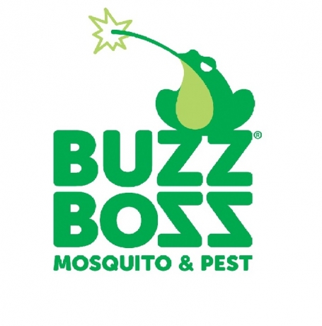 Boss Buzz