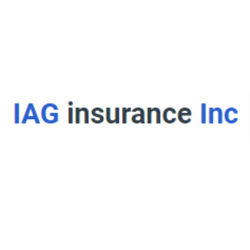 Holdings Inc IAG