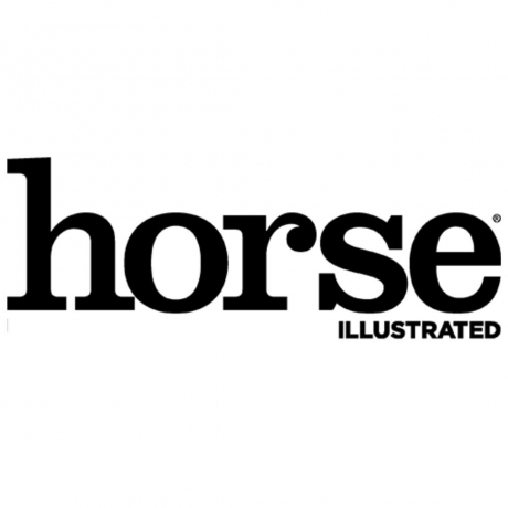 Illustrated Horse