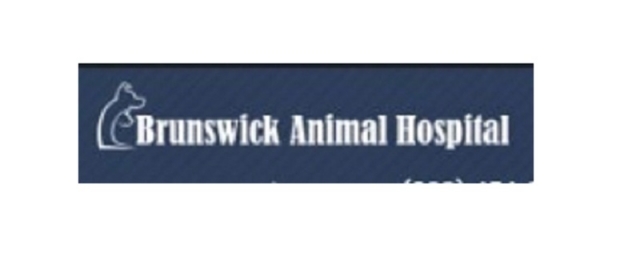 Animal Hospital Brunswick 