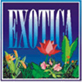 Exoticabeach cottages