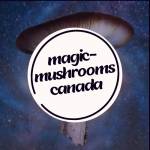 Canada Magic Mushrooms