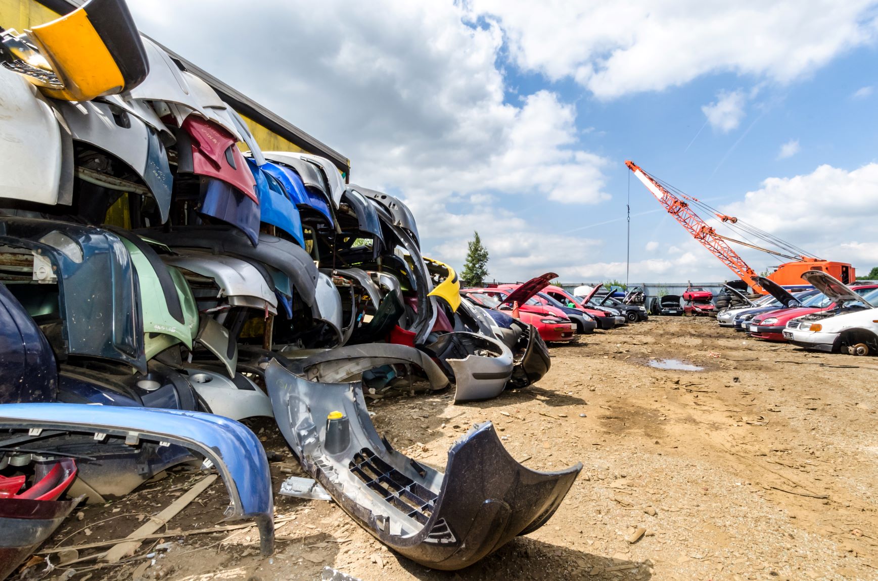 Adelaide Car Removal