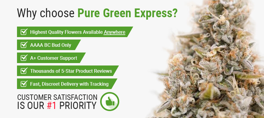 Express Pure Green