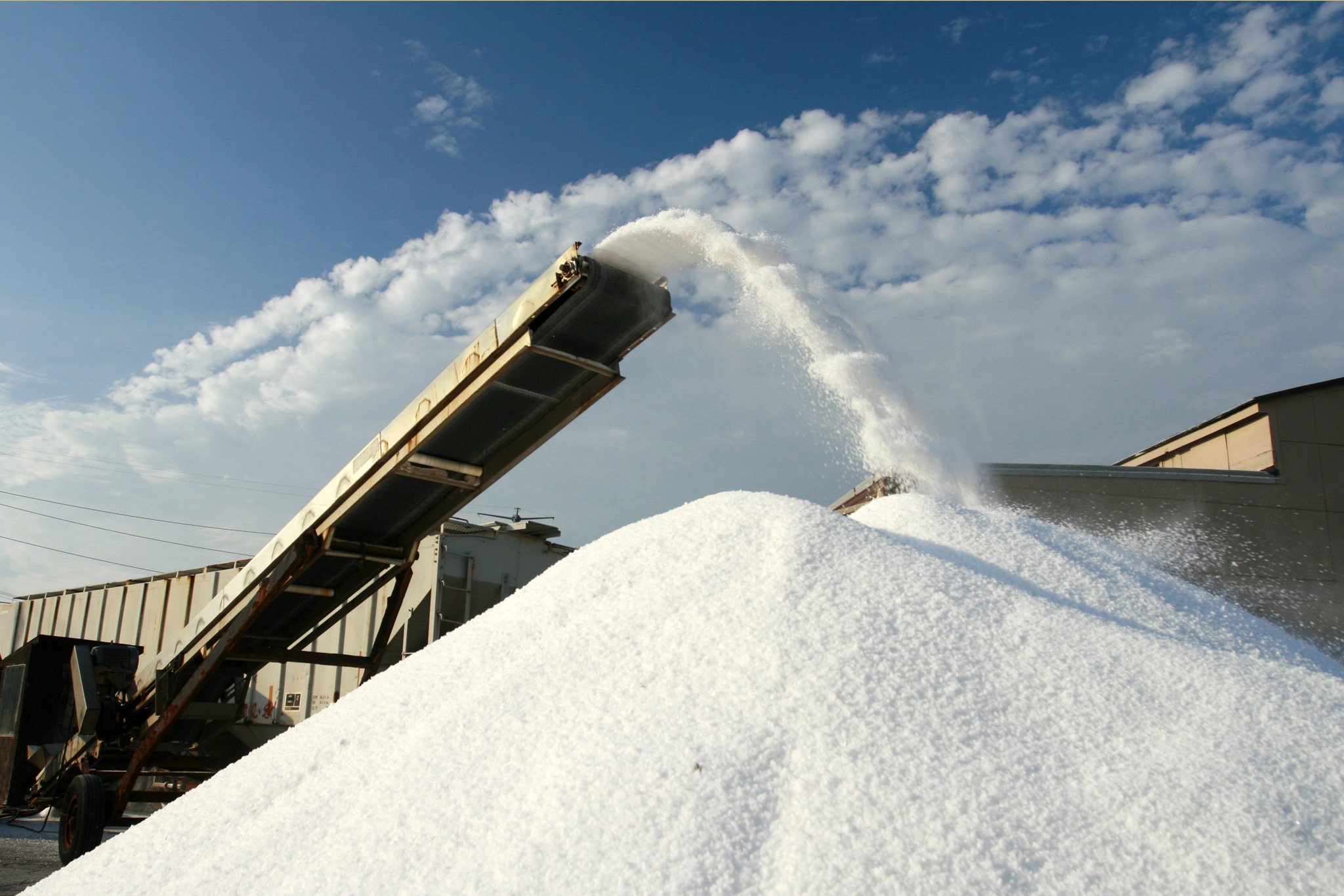 Salt Canada