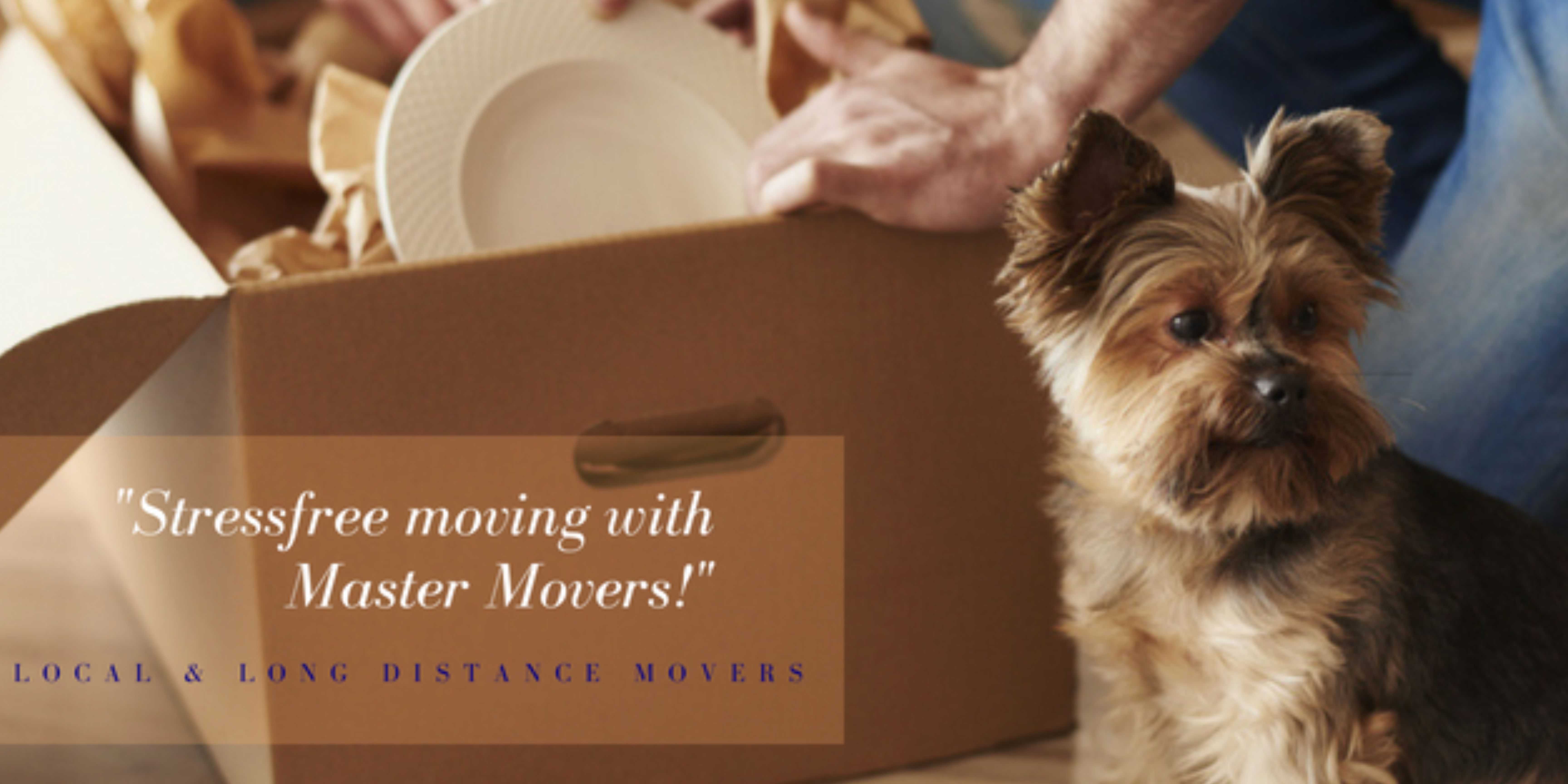 Movers Master 