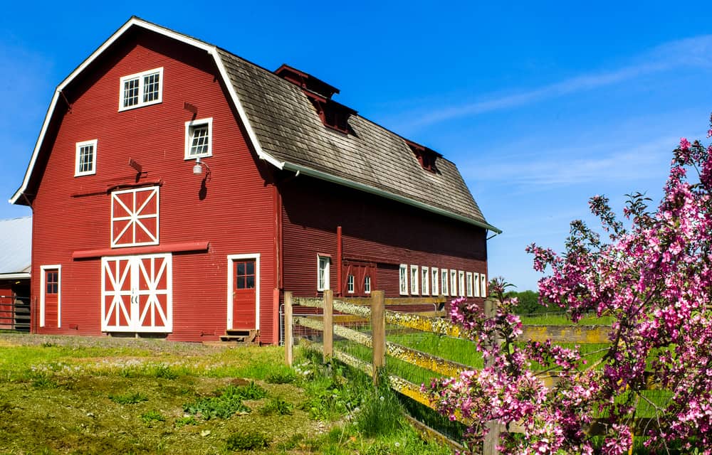 Starspainters Barn