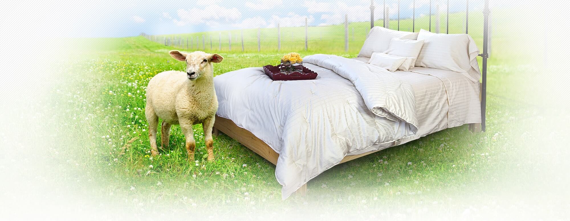 Wool Bed Company