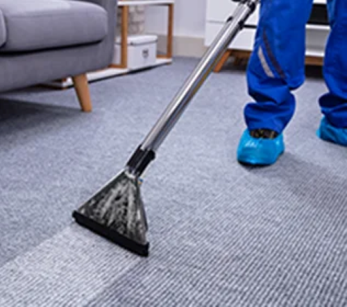 . Carpet Cleaning Expert