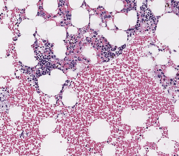 Molecular Pathology Laboratory Network