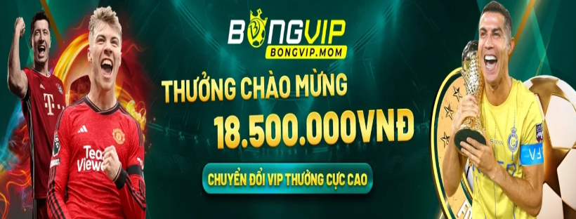 BongVip Nhà Cái