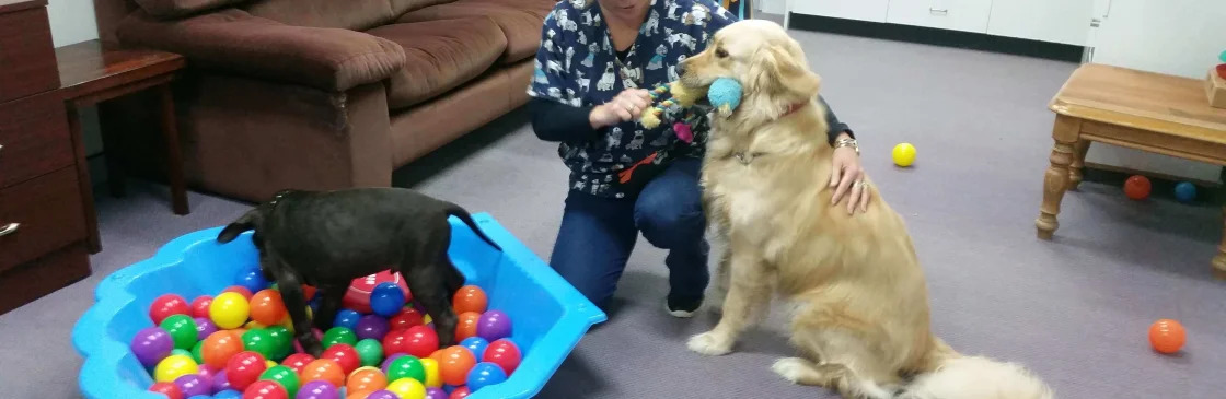 Holistic Paws Waggy Tails