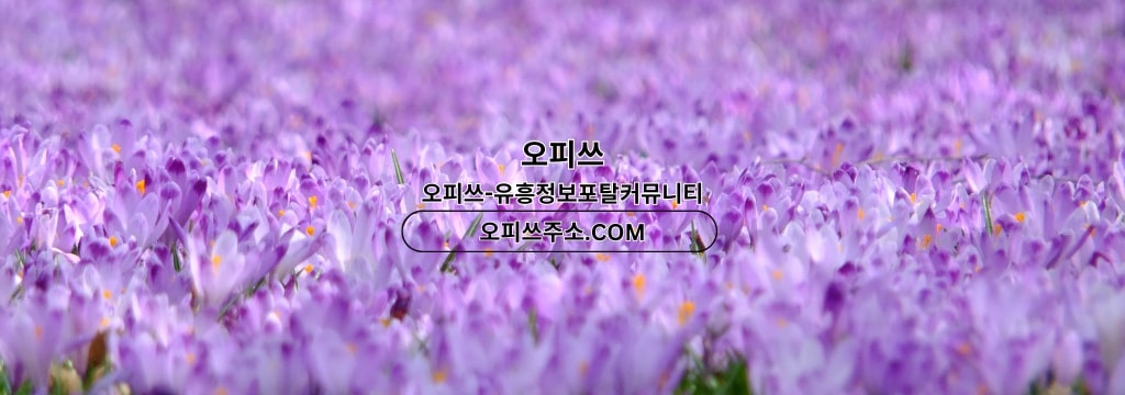 출장안마사이트.COM 평촌출장마사지 평촌출장샵 