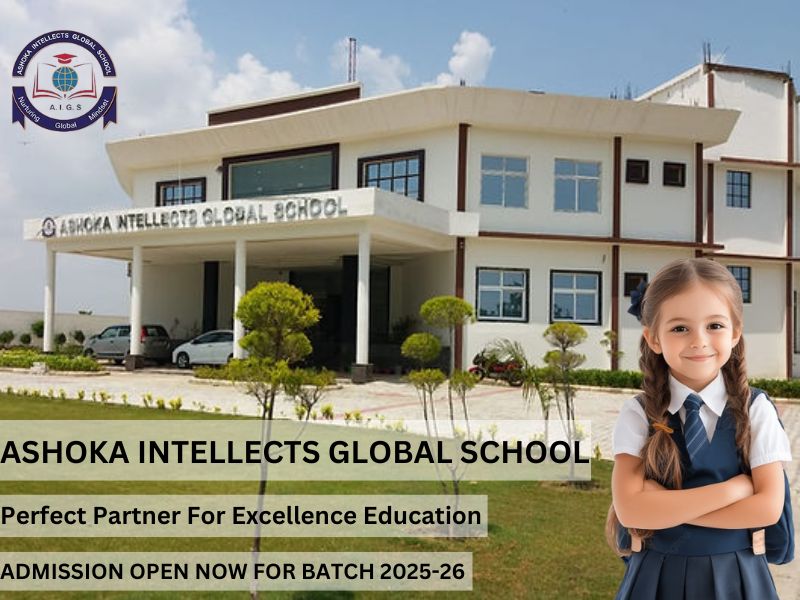 School Ashokaintellects