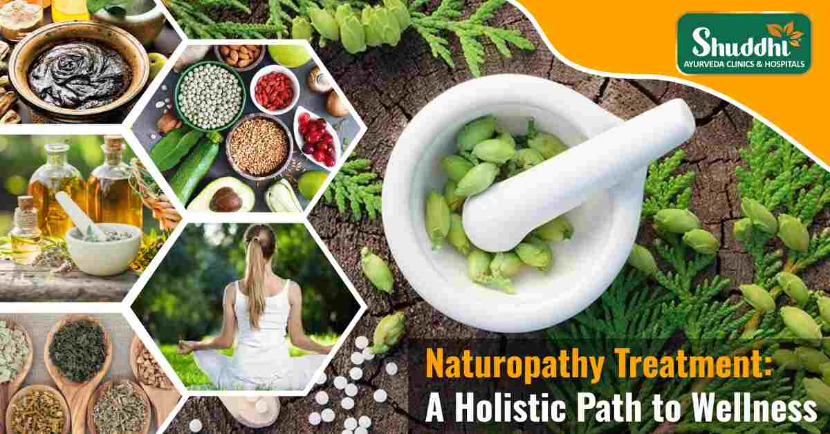 Ayurveda Shuddhi 