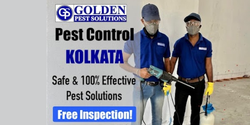 Solutions Golden Pest