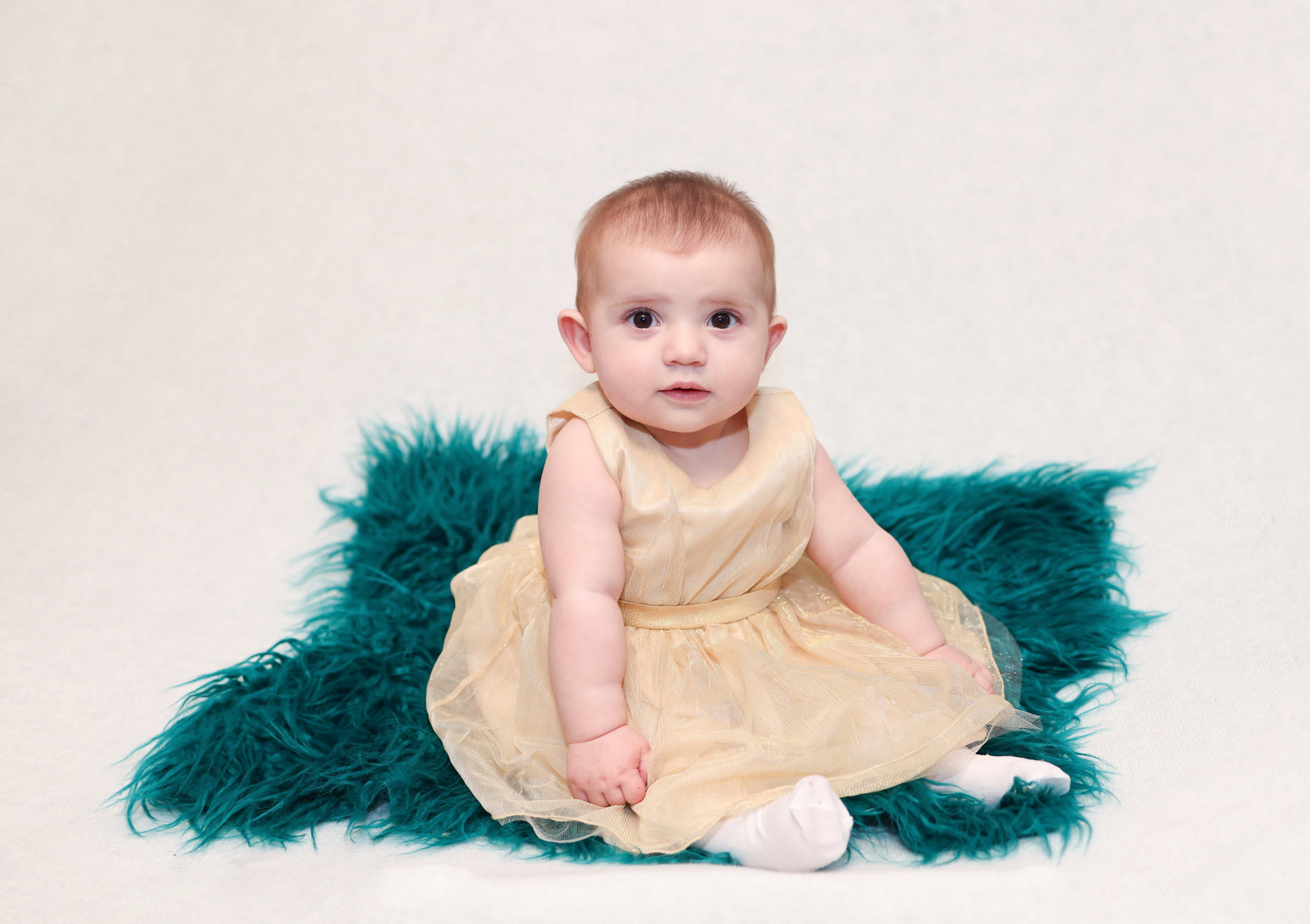 Services Basu Photography