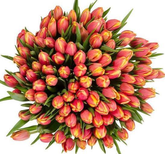 Box Flowers