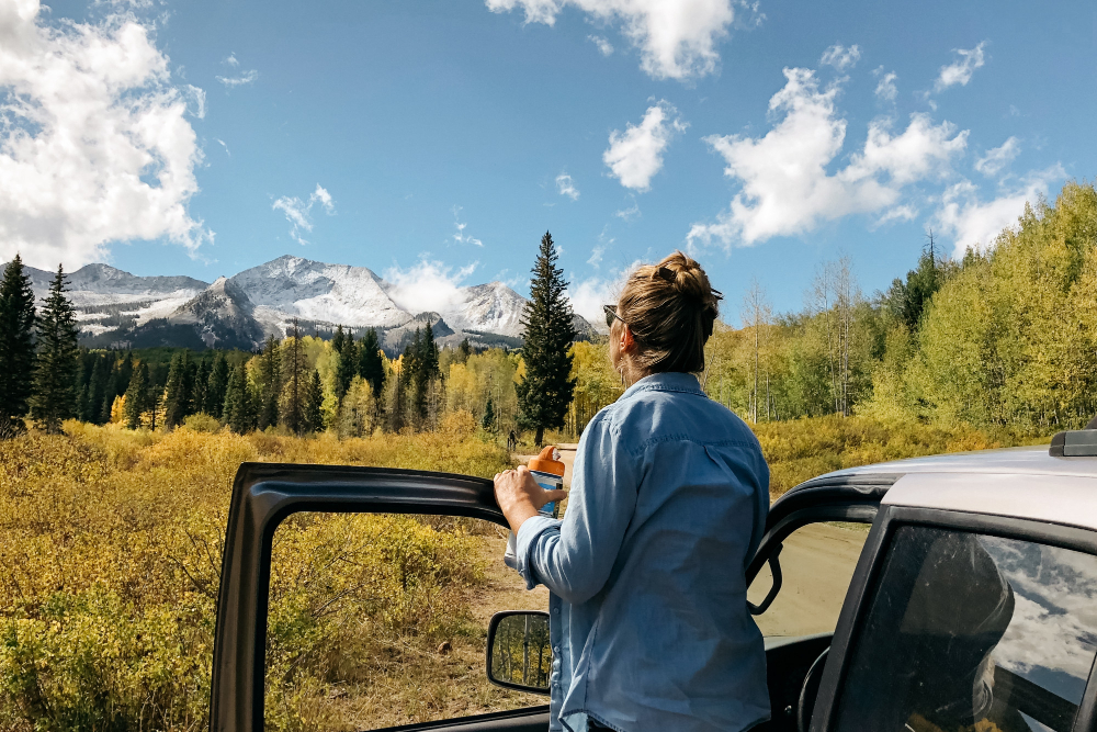 Smart Holiday Travels