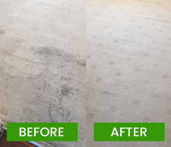 cleaningservices amazingcarpet
