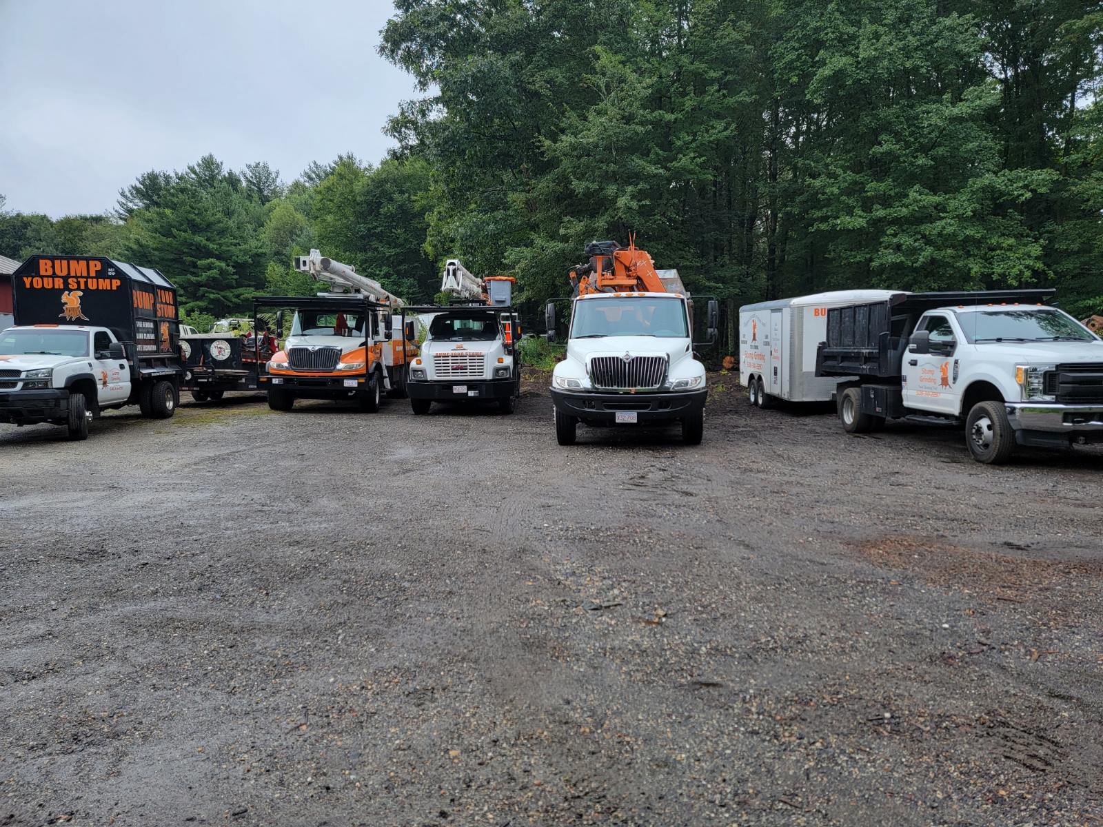 Bump Your Stump Stump Grinding  & Tree Service LLC
