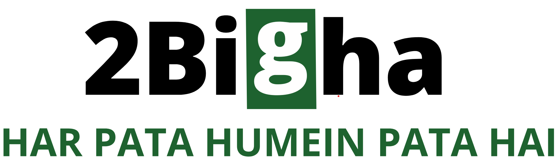 Bigha Two