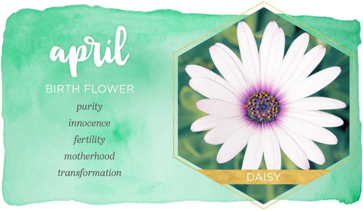 chennai florist