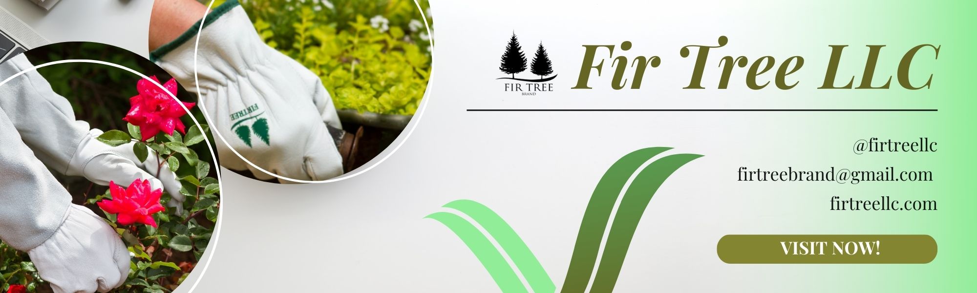 LLC Fir Tree