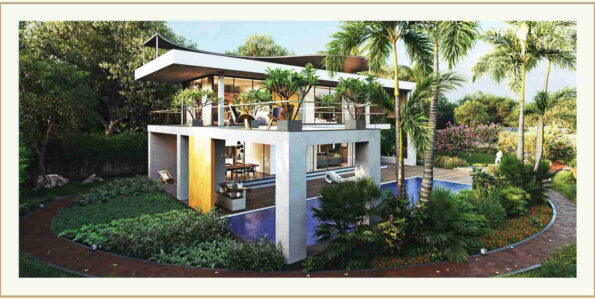 Properties  Green Panther