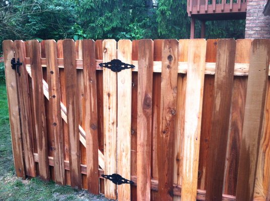 Dalton Fences