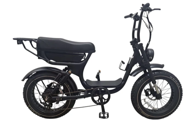 Scooters EBikes 