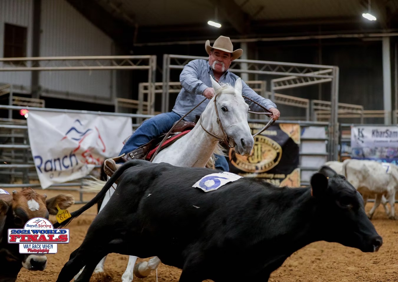 Lessons Ranch Sorting 