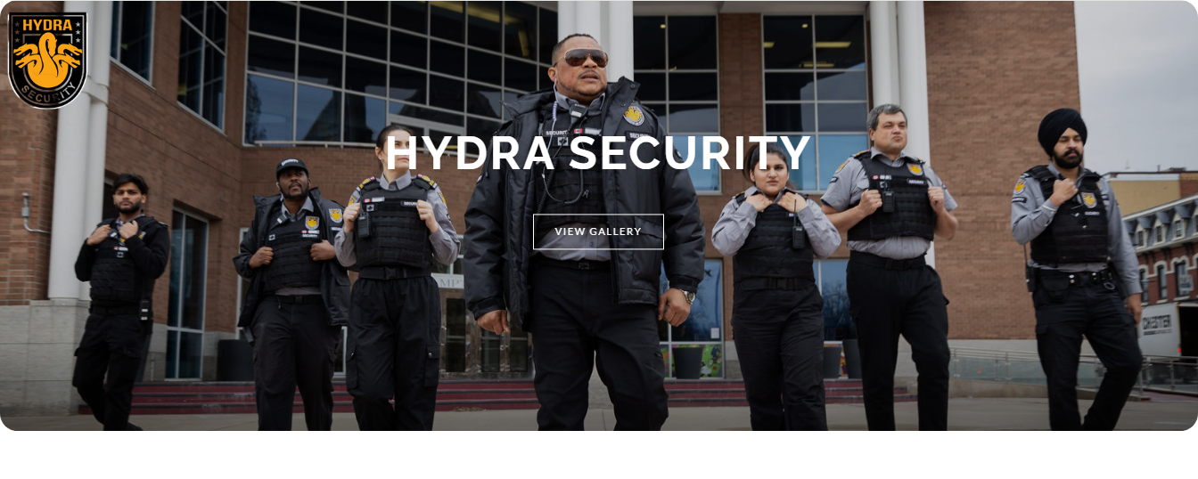 Security Hydra