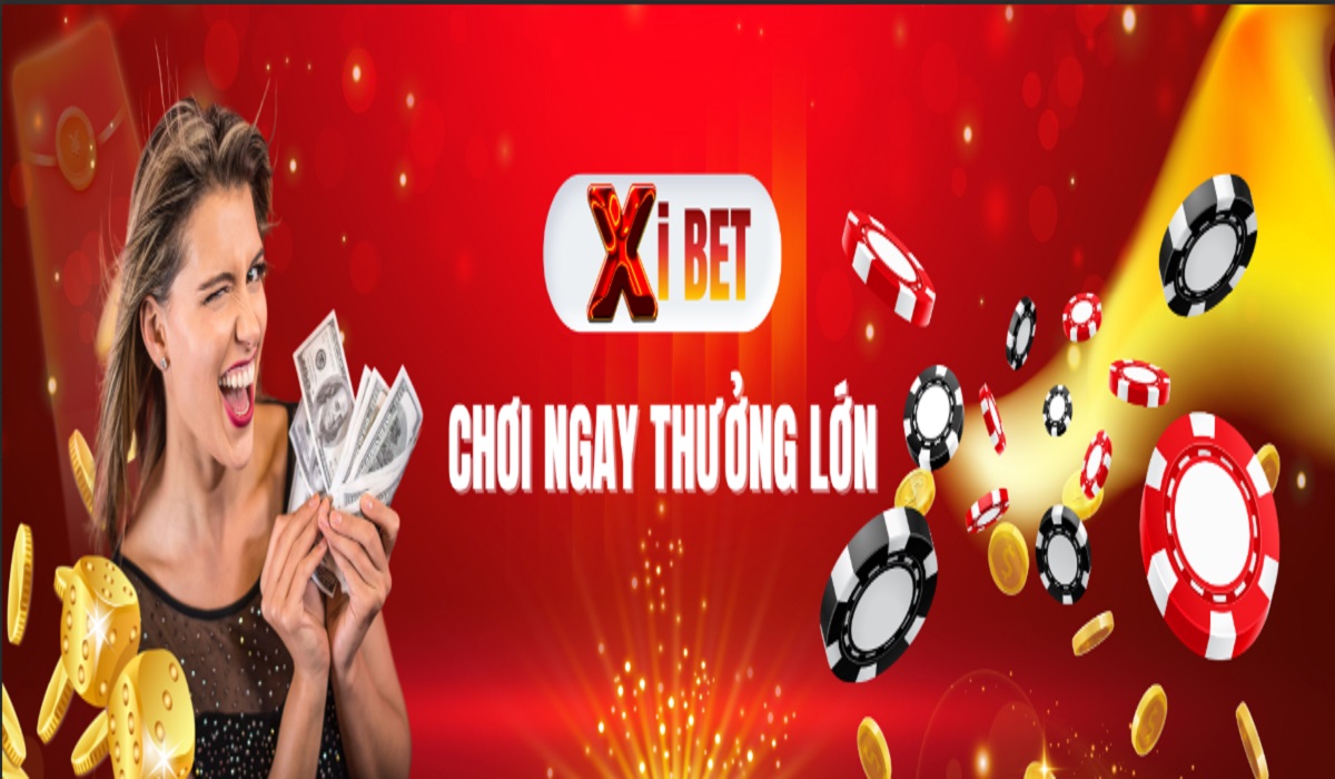 Xibet Nhà cái 