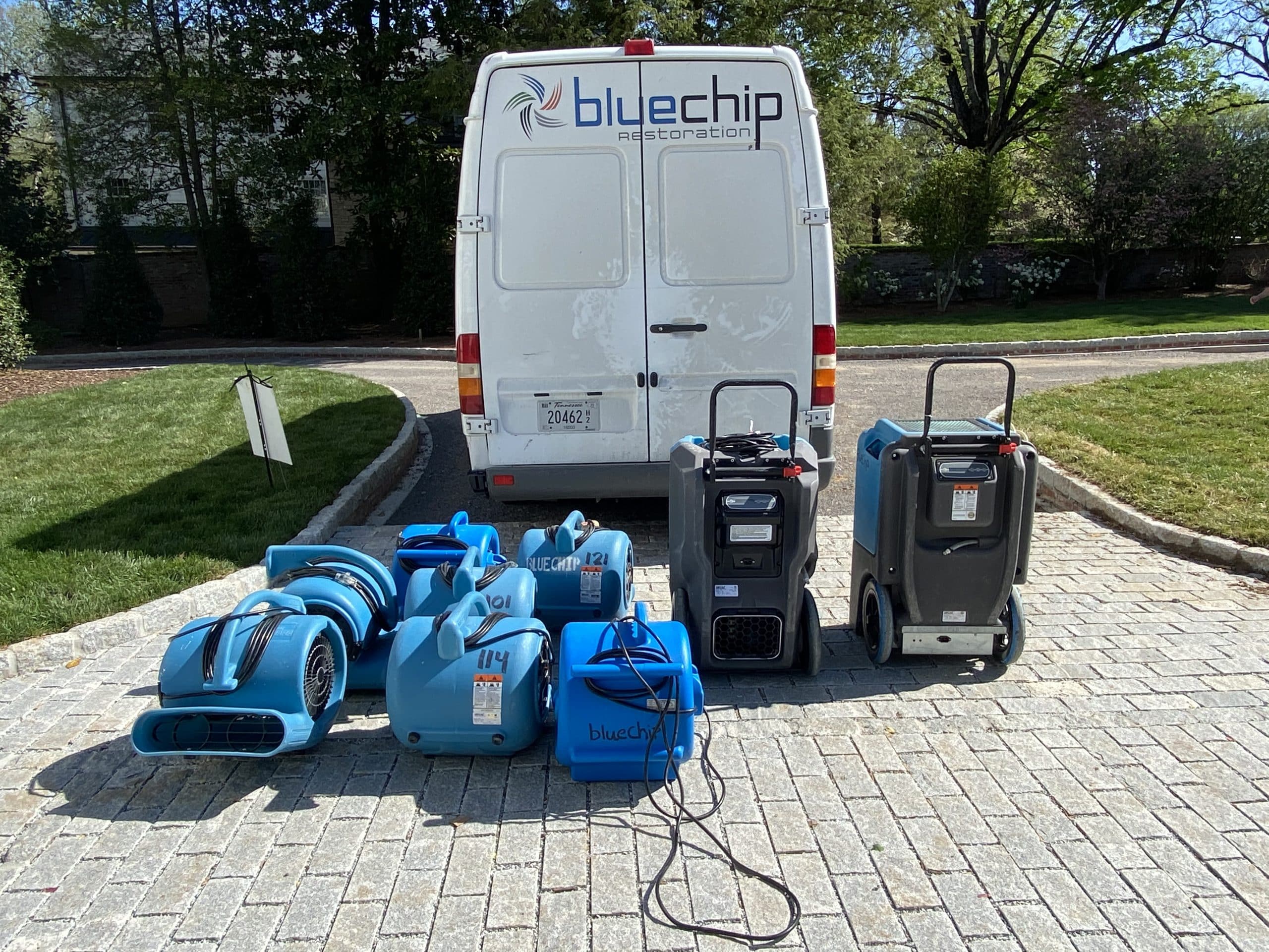 Restoration Blue Chip 