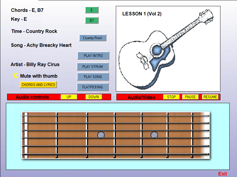 Pro Guitar Lessons 