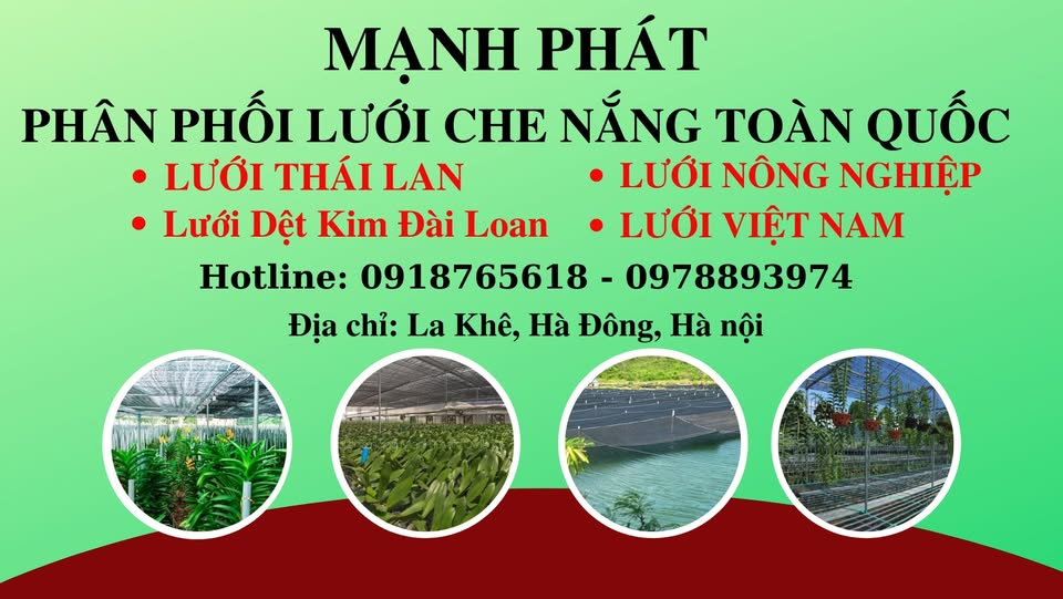 Mạnh Phát Lưới