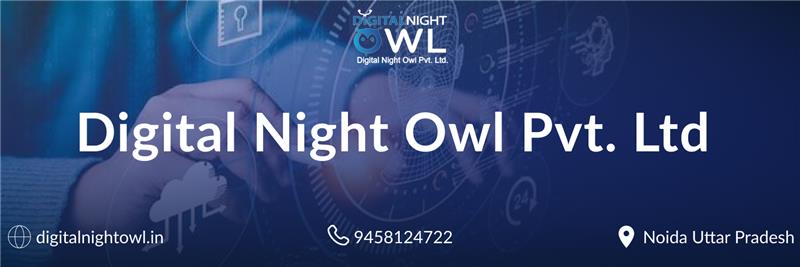 Digital Night Owl