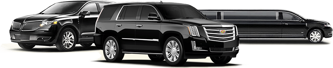 Limos Quest