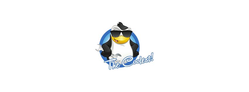 LLC The Coolest 