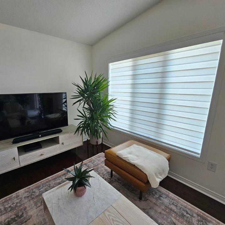 Blinds & Window Covering Design2View