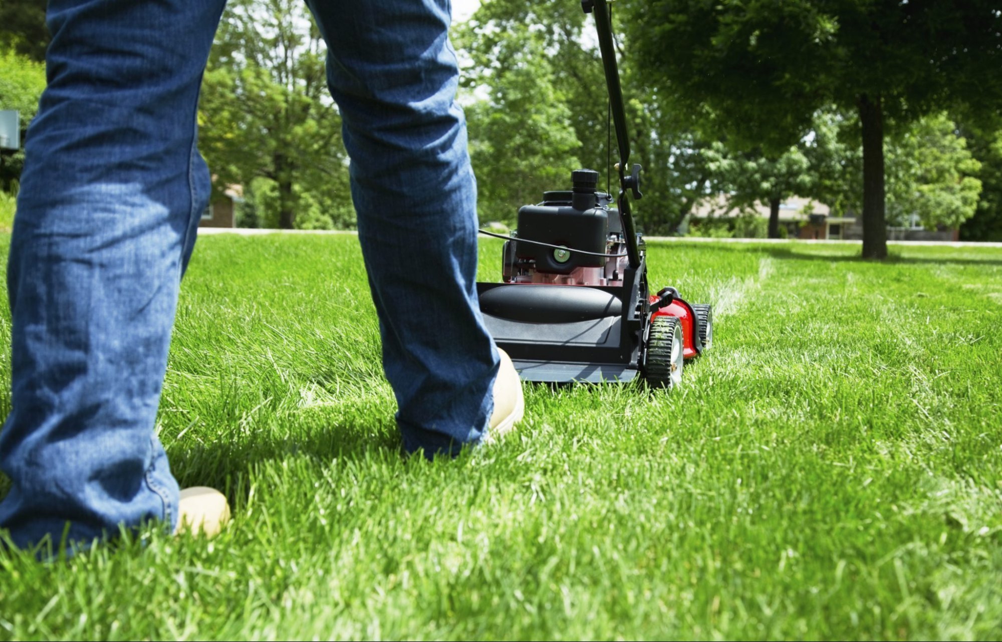 landscaping sanlorenzo