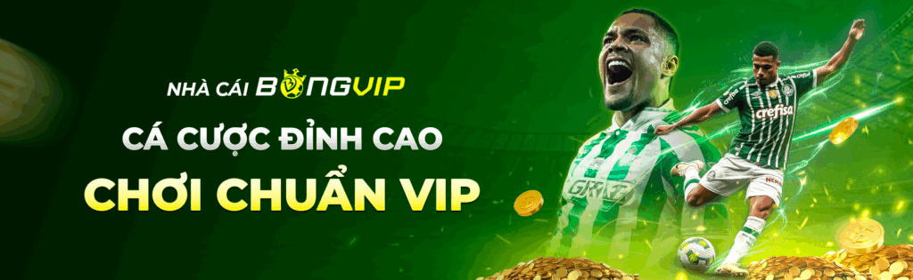 Bongvip BONGVIP