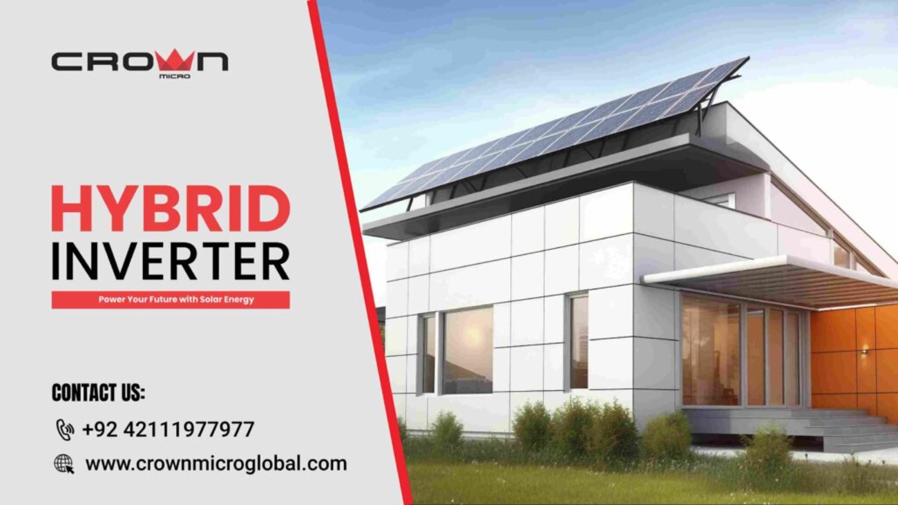 crown micro global